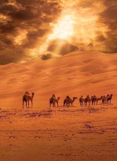 marrakech to fes desert tour