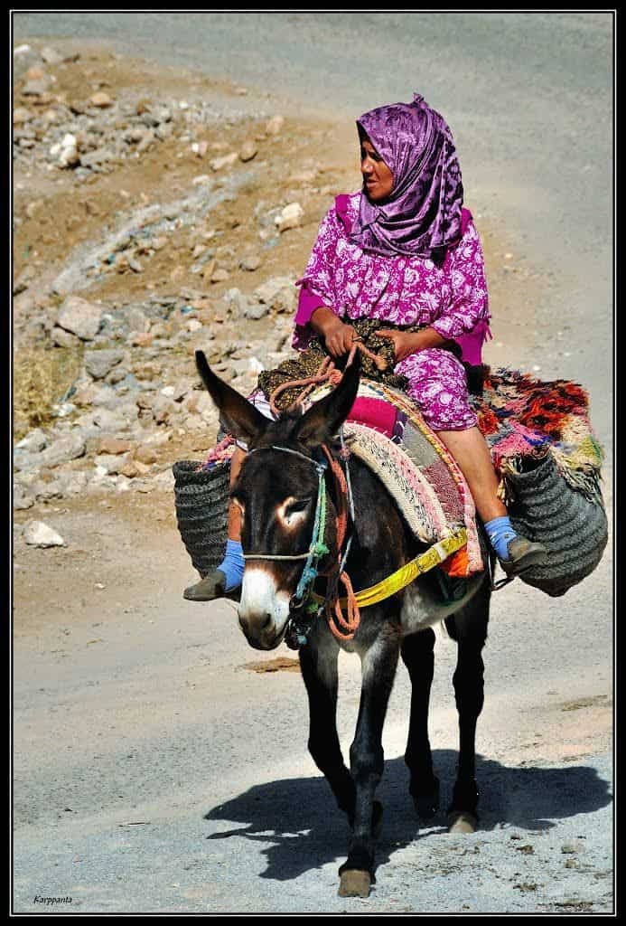 marrakech to fes desert tour