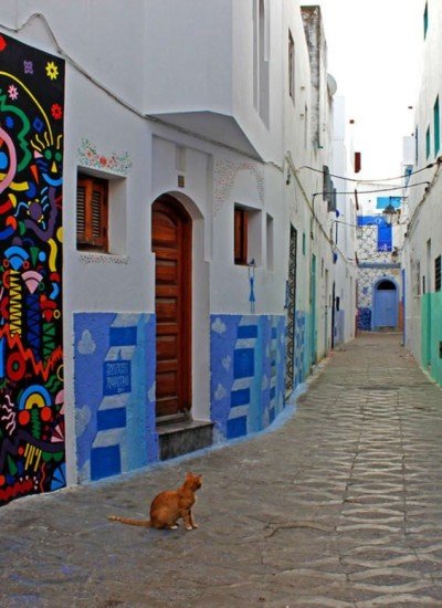 Fes to Chefchaouen & Tangier tour